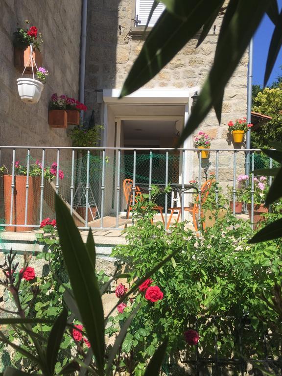 Maison De Vacances - Casa Mezanaccia Avec Terrasse Fleurie Meuble Tourisme 3 Etoiles Santa-Lucia-di-Tallano 외부 사진