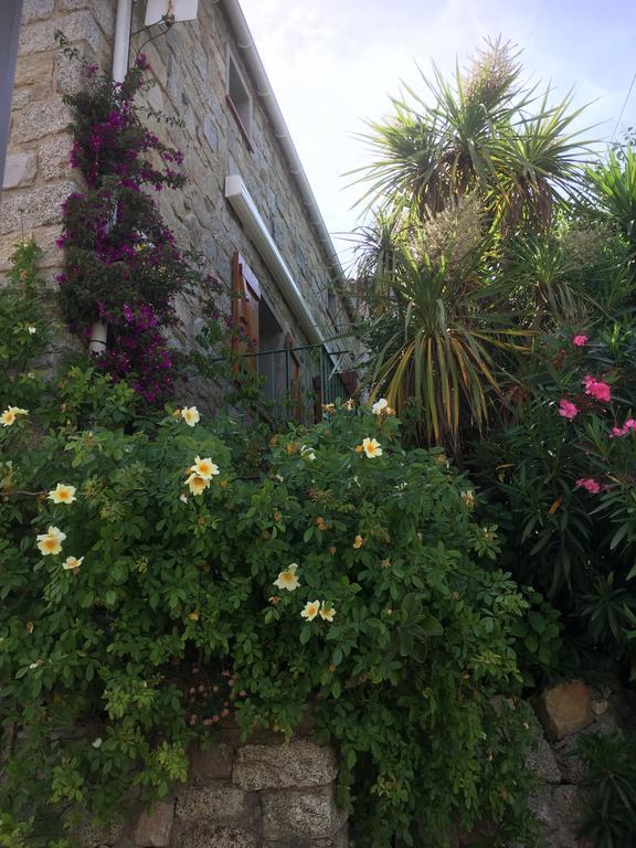Maison De Vacances - Casa Mezanaccia Avec Terrasse Fleurie Meuble Tourisme 3 Etoiles Santa-Lucia-di-Tallano 객실 사진